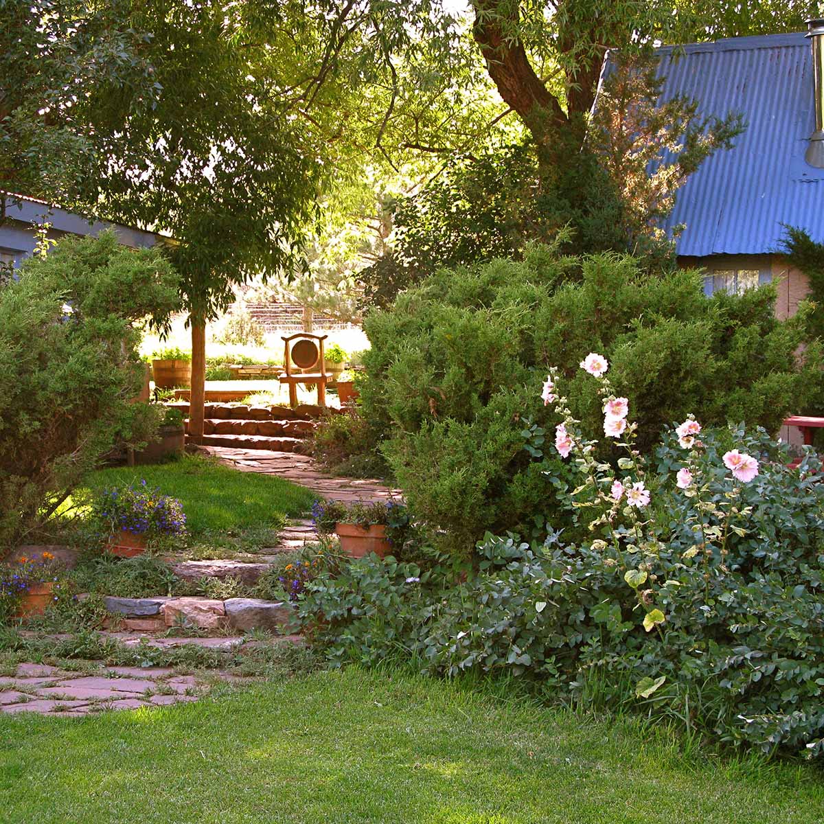 Ocamora pathway to gong